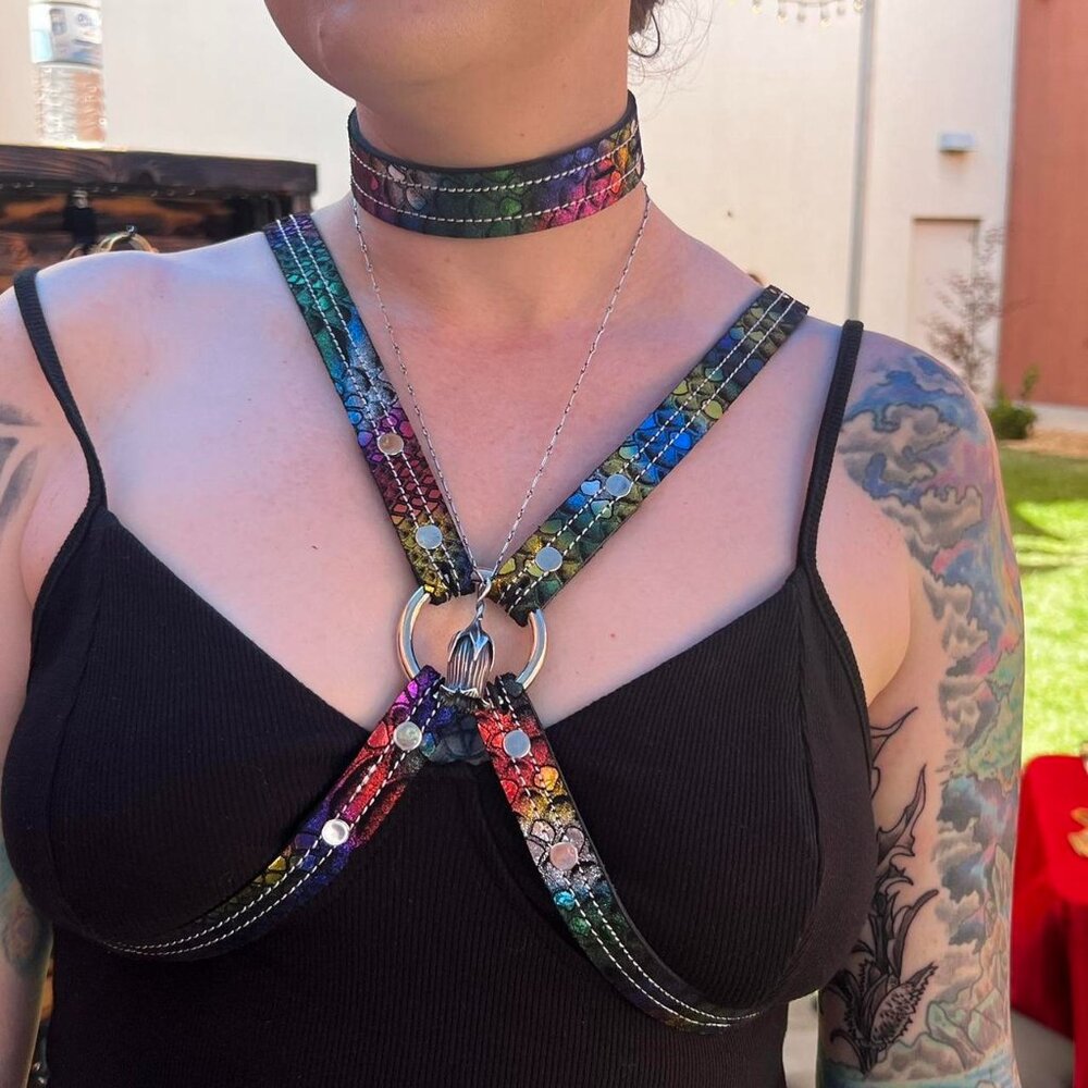 House of the Rabbit leather harness and collar